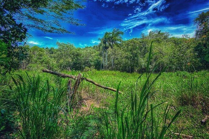 Taino Bay & amber cove 7 Damajagua Waterfall Lunch Excursion - Detailed Review: A Closer Look at Every Step
