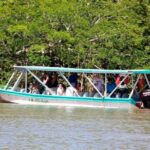Tamarindo Estuary Boat Safari - Who Would Enjoy This Tour?