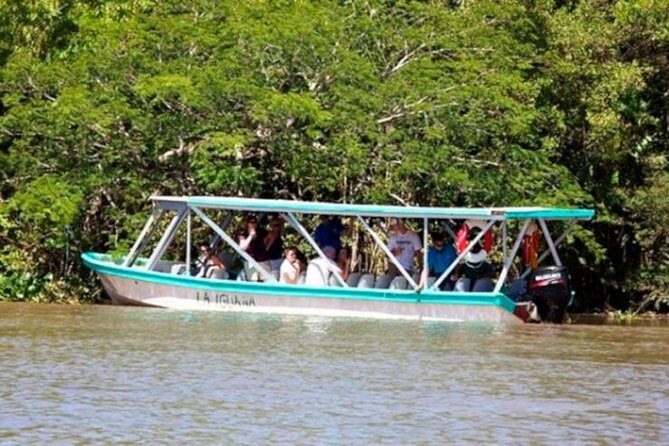 Tamarindo Estuary Boat Safari - Who Would Enjoy This Tour?