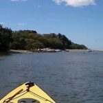 Tamarindo Mangrove Forest National Park kayaking - Who Will Love This Experience?