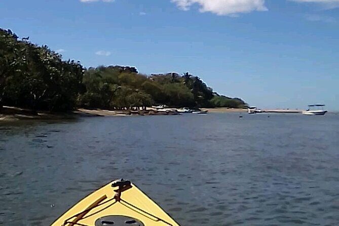Tamarindo Mangrove Forest National Park kayaking - Who Will Love This Experience?