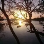 Tamarindo River Boat Tour - The Sum Up