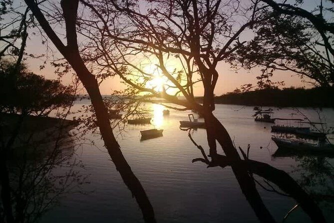 Tamarindo River Boat Tour - The Sum Up