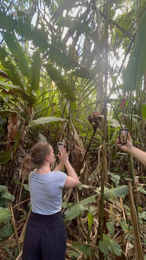 Tambopata: 2 days and 1 night - Aventura and Sandoval Lake - A Deep Dive into the Amazon Tour Experience