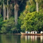 Tambopata 4 Days/3 Nights - Final Thoughts: Is This Tour Right for You?