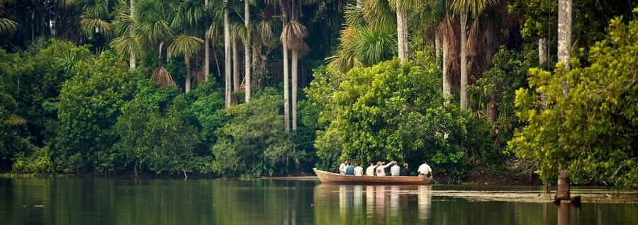 Tambopata 4 Days/3 Nights - Final Thoughts: Is This Tour Right for You?