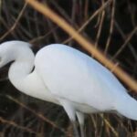 TAMBOPATA AMAZON WILD 3D/2N - What Travelers Say