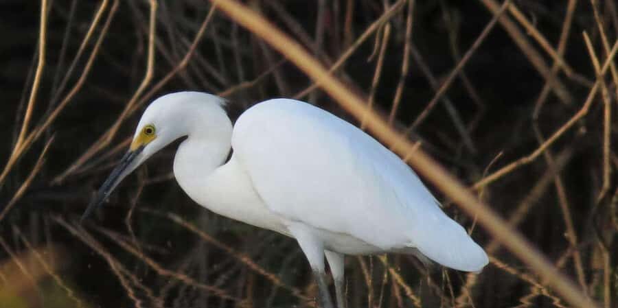 TAMBOPATA AMAZON WILD 4D/3N - Exploring the Itinerary: What to Expect Each Day