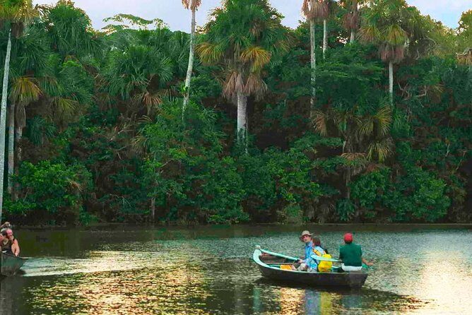 Tambopata Chuncho Macaw Clay Lick 3 Days - The Sum Up