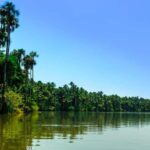 Tambopata Exploration: 4 Days of Nature in Lake Sandoval - What Makes This Tour Stand Out