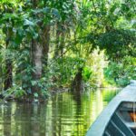 Tambopata: Lake Sandoval Canoeing with Lunch - Exploring the Amazon: What You Can Expect