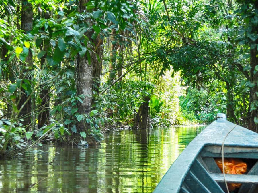 Tambopata: Lake Sandoval Canoeing with Lunch - Exploring the Amazon: What You Can Expect