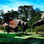 Tambopata Macaw Clay Lick 4 days/3 nights - Final Thoughts: The Value of this Amazon Adventure