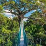 TAMBOPATA NATIONAL RESERVE 2 DAYS ADVENTURE - Practical Considerations