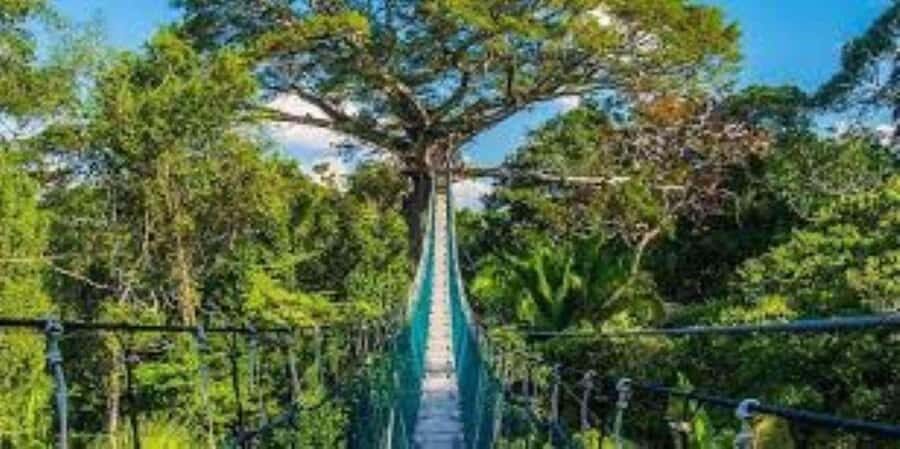 TAMBOPATA NATIONAL RESERVE 2 DAYS ADVENTURE - Practical Considerations