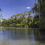 Tambopata National Reserve Tour (3 Days) - The Sum Up