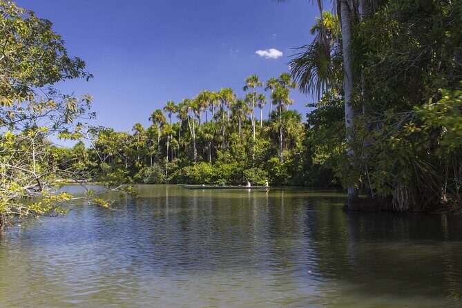 Tambopata National Reserve Tour (3 Days) - The Sum Up