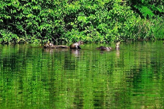 Tambopata (Puerto Maldonado) 4 Days - Practical Details and Value