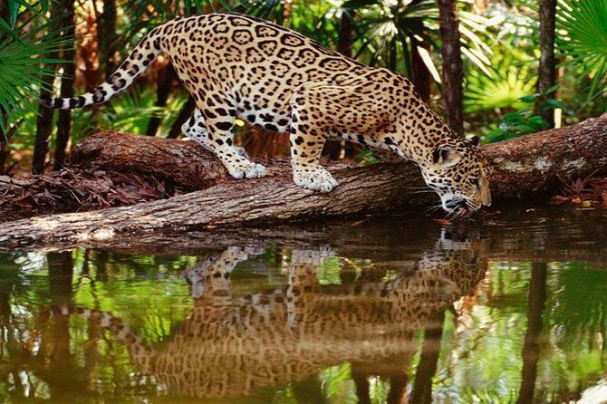 Tambopata (Puerto Maldonado) 5 Days - Who Should Consider This Tour?