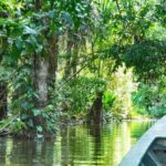 TAMBOPATA SAFARI ANIMALS 3D/2N - Practical Details and Value