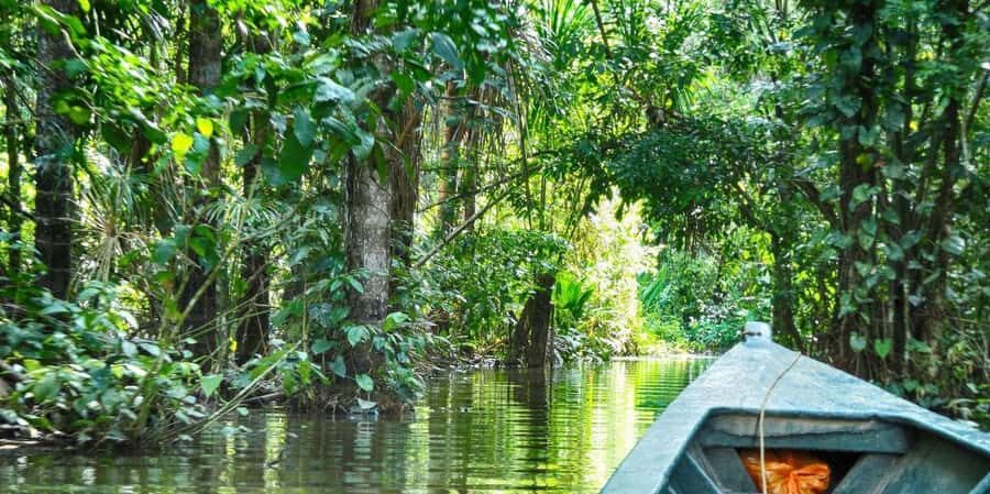 TAMBOPATA SAFARI ANIMALS 3D/2N - Practical Details and Value