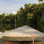 Tambopata: Sandoval Lake and Cayman Safari 2 days - What’s Included and Why It Matters