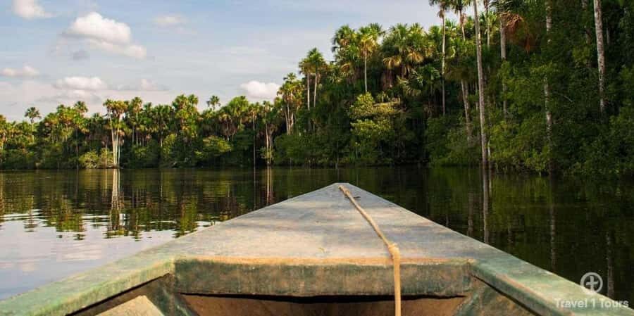 Tambopata: Sandoval Lake and Cayman Safari 2 days - What’s Included and Why It Matters