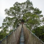 Tambopata. Sandoval lake and parrot clay lick, 3 days 2 nights - Who Will Enjoy This Tour?