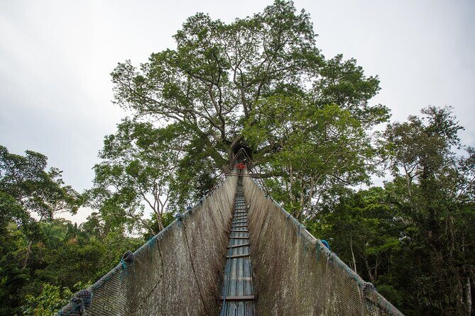 Tambopata. Sandoval lake and parrot clay lick, 3 days 2 nights - Who Will Enjoy This Tour?