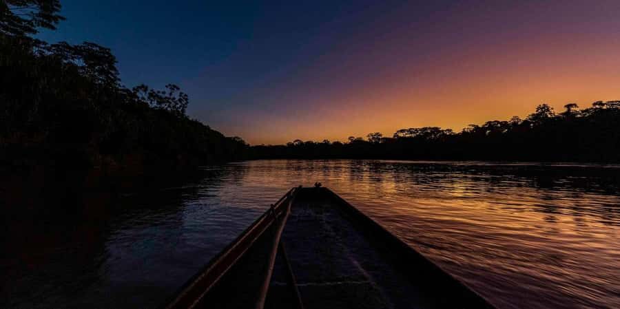 Tambopata: Search for Caimans in the Amazon | Night Tour | - Final Thoughts