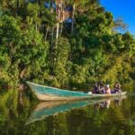 Tambopata tour: 3D/2N Amazonian adventure - A Closer Look at the Tambopata Tour Experience