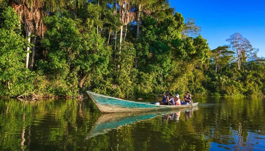 Tambopata tour: 3D/2N Amazonian adventure - An In-Depth Look at the Tambopata Amazon Tour