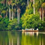 Tambopata Tour 4 Days - An In-Depth Look at the 4-Day Tambopata Tour