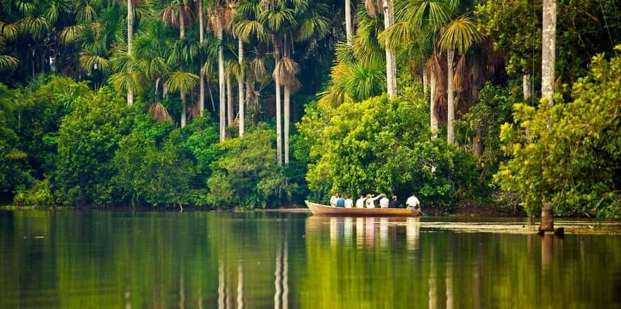 Tambopata Tour 4 Days - An In-Depth Look at the 4-Day Tambopata Tour