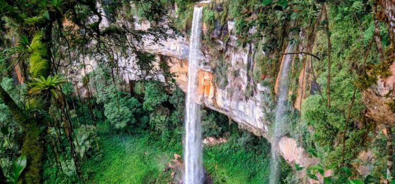 Tarapoto: Ahuashiyacu Waterfall Half-Day Tour - The Sum Up: Who Should Consider This Tour?