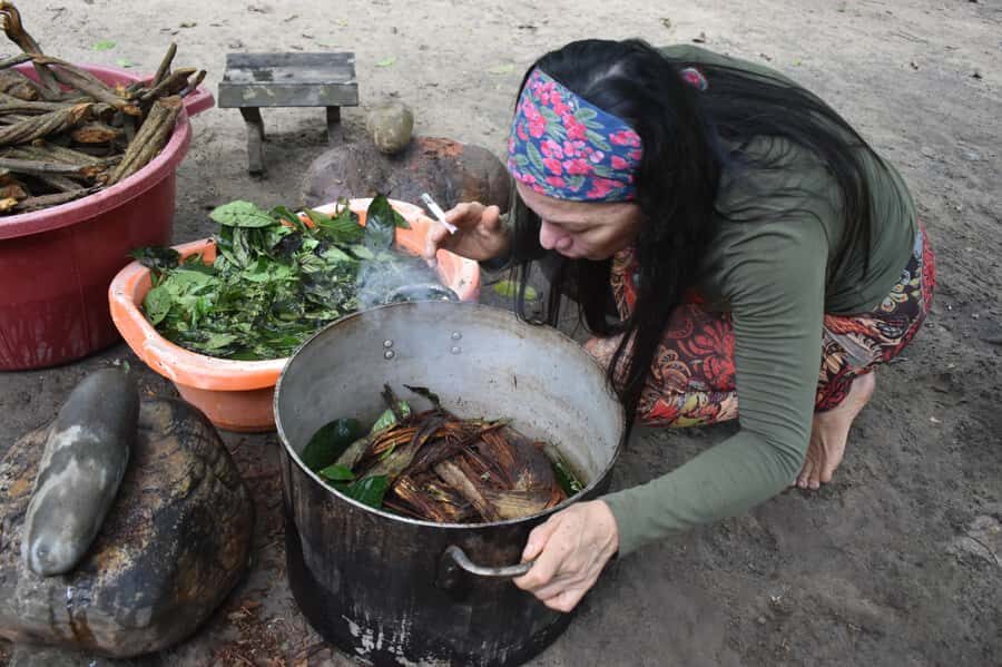 Tarapoto: Ayahuasca Ceremonies in the Amazon Rainforest - Breakdown of the Itinerary