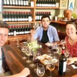 Taste 10 Types of Wine in 3 exceptional Casablancas Vineyards - Who Should Book This Tour?