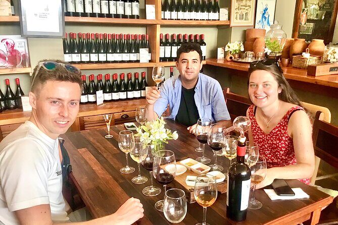 Taste 10 Types of Wine in 3 exceptional Casablancas Vineyards - Who Should Book This Tour?