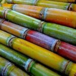 Taste of Grenada: Rum Hopping & Lunch - Who Will Love This Tour?