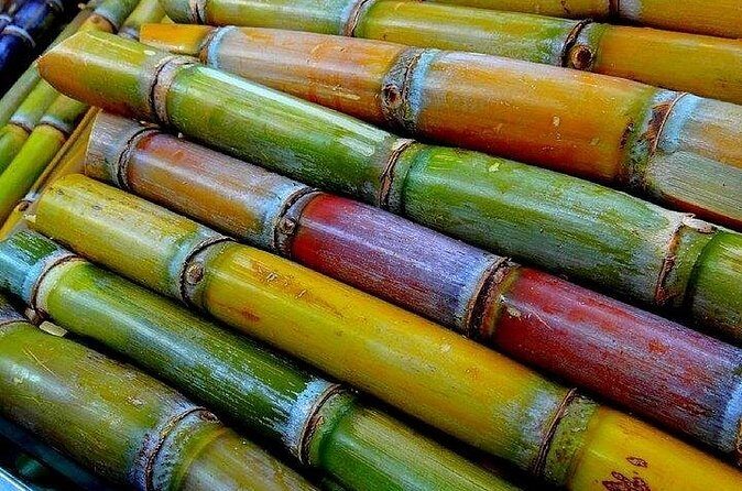 Taste of Grenada: Rum Hopping & Lunch - Who Will Love This Tour?