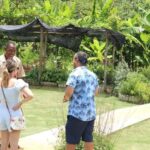 Taste of Jamaica Farm & Food Tour - A Deep Dive Into the Taste of Jamaica Experience