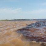 Taste of the Amazon Jungle 3D-2N-A Amazon Tapiri Floating Lodge - Why This Tour Works for Travelers