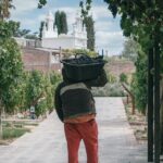 Tasting and lunch in cellar + Olive tree. Private transportation - FAQs