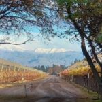 Tasting in two wineries + full lunch. Transfer included - Final Thoughts: Who Will Appreciate This Tour?