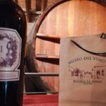 Tastings and lunch in Maipú! One of the oldest regions of Mendoza - In-Depth Review of the Maipú Tasting and Lunch Tour