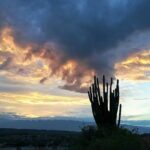 Tatacoa Desert Day Trip live, discover and connect - Final Thoughts: Who Will Appreciate This Tour?