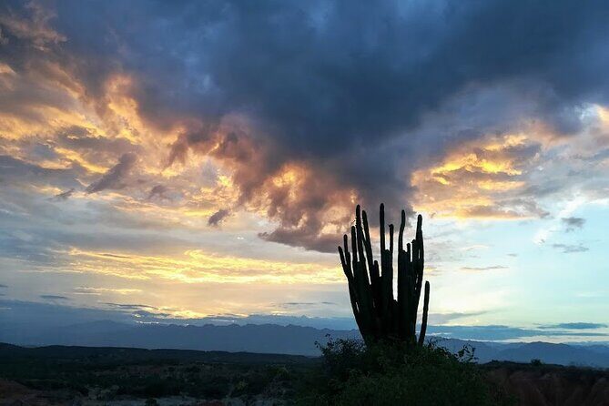 Tatacoa Desert Day Trip live, discover and connect - Final Thoughts: Who Will Appreciate This Tour?