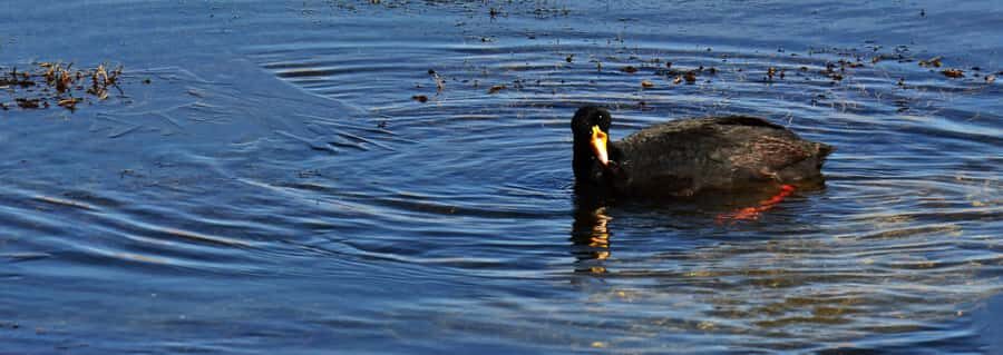 Tatio Geysers Tour: San Pedro de Atacama - An In-Depth Look at the Tatio Geysers Tour