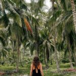 Tayrona Park Hike Tour to Cabo San Juan: Private or Shared - Who Will Love This Experience?