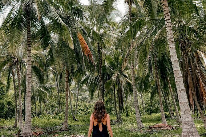 Tayrona Park Hike Tour to Cabo San Juan: Private or Shared - Who Will Love This Experience?